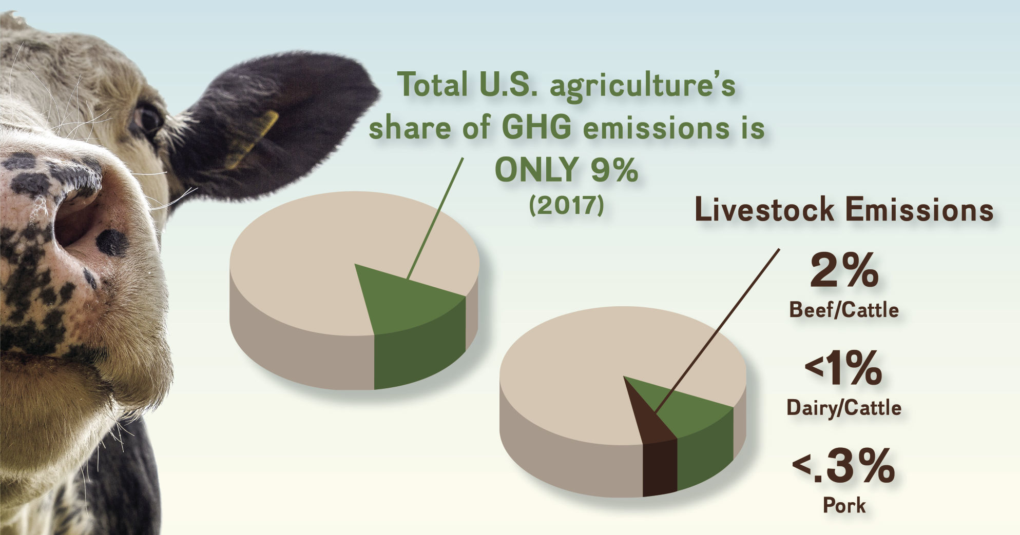 Cornstalk_sustainability_social
